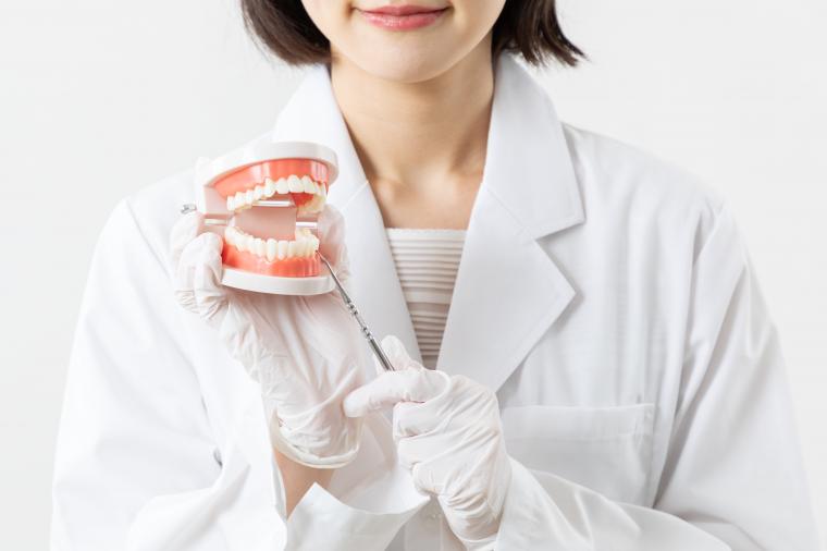 健康な歯は食生活から。毎日の習慣でできる予防のポイント